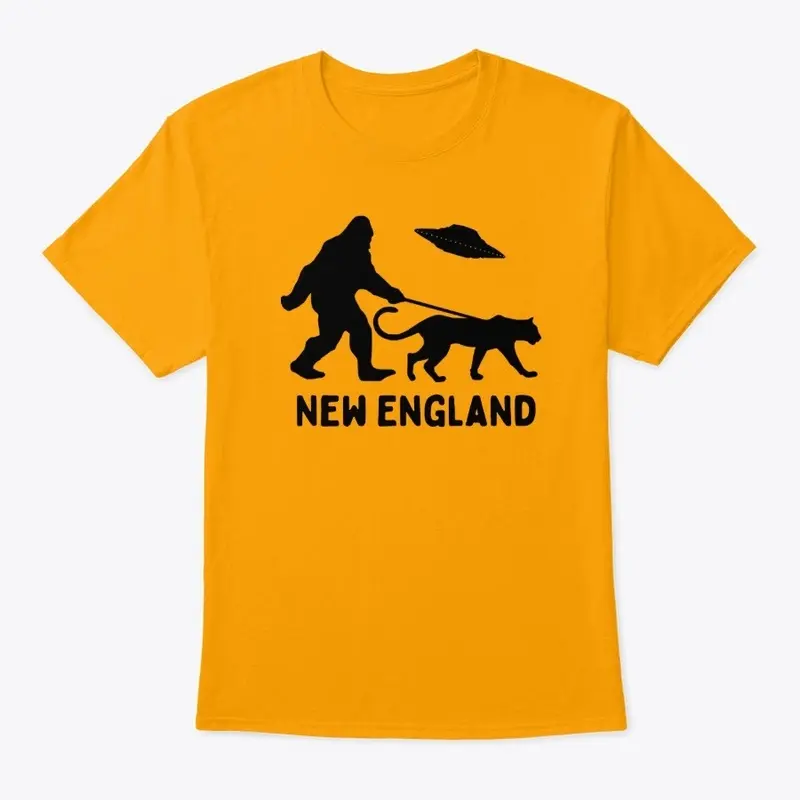 I Believe New England